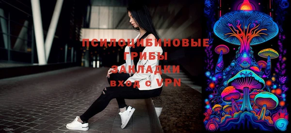 дурь Волоколамск