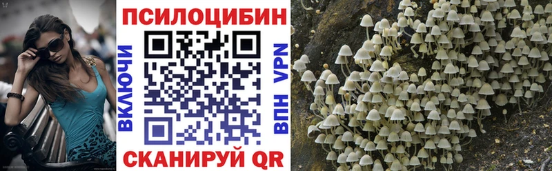 Галлюциногенные грибы Psilocybine cubensis  Купить закладки  Выкса 