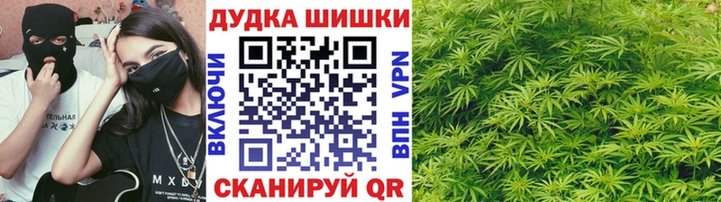 Конопля сатива  Купить  Выкса 